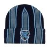 Harry Potter Ravenclaw Striped Cuff Beanie - BoxLunch Exclusive -BoxLunch Shop 19177797 hi